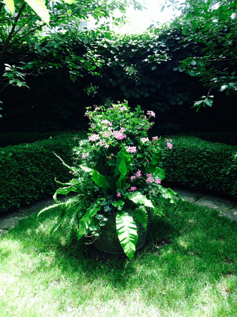 Servidea shady urn Trout Lily Garden Design