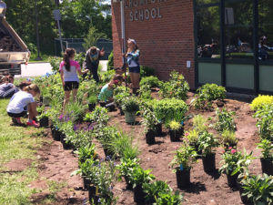 children planting flowers at a school trout lily garden design bedford hills ny