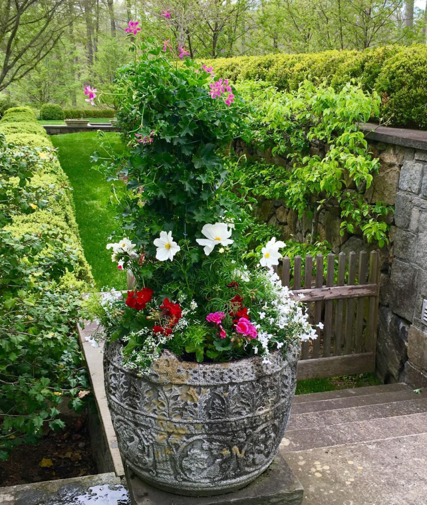 planters Trout Lily Garden Design