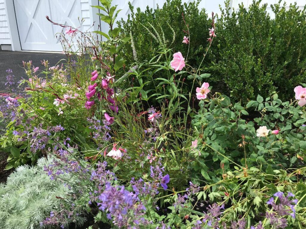 residential Trout Lily Garden Design