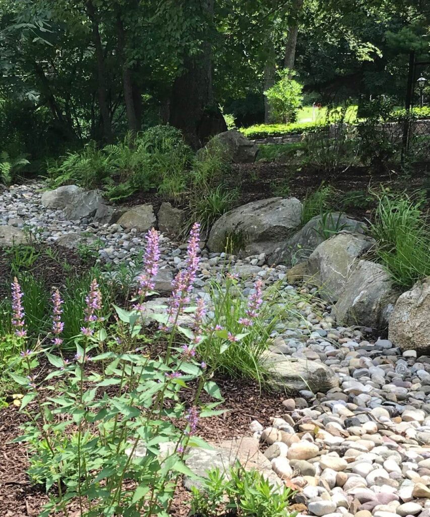 residential5 Trout Lily Garden Design