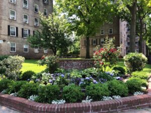 planted garden area in front of apartment buildings trout lily garden design white plains ny
