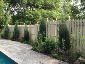 pool deck landscaped with native shrubs