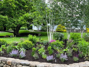 rock wall with native plant landscaping